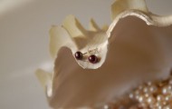 DSC_6569__82278_zoom